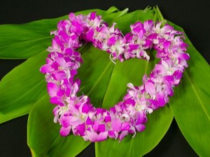 Read more about the article Ho’oponopono Mantra & Morrnah’s Prayer | Hawaiian