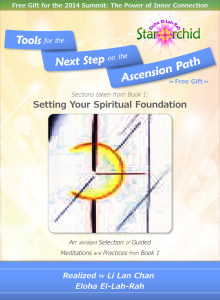 Read more about the article Free Gift for the 2014 Summit: The Power of Inner Connection